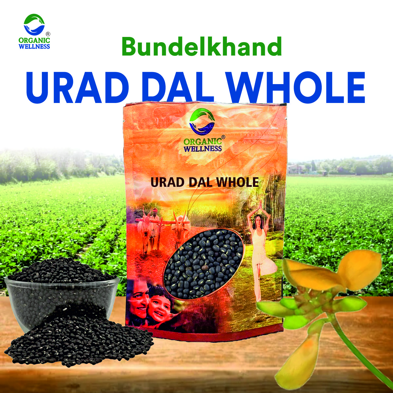 Organic Wellness Urad Dal Whole
