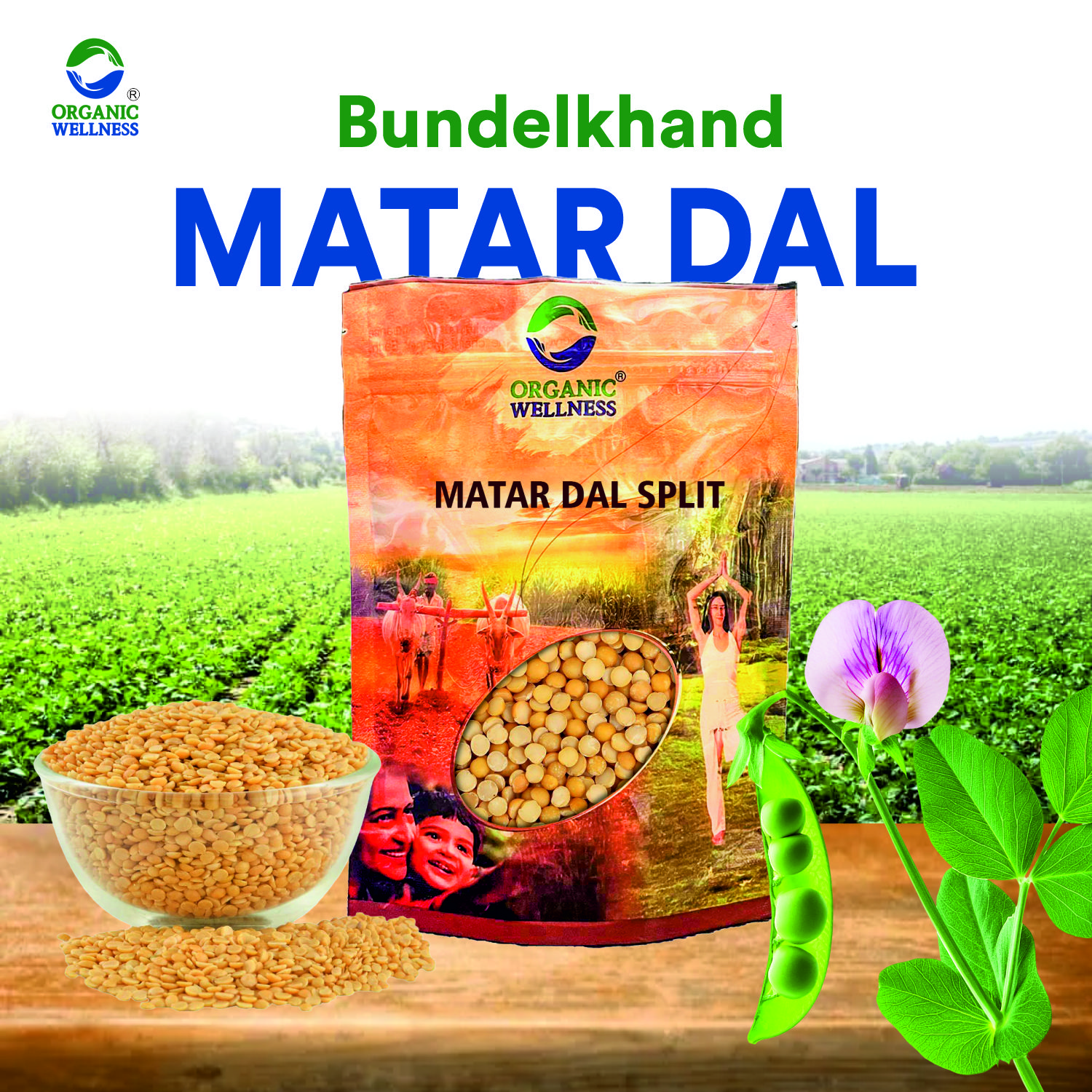 Organic Wellness Matar Dal