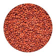 Red Sorghum / Jowar (Red)