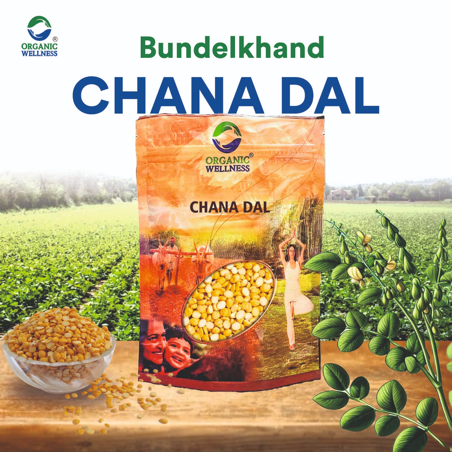 Organic Wellness Chana Dal