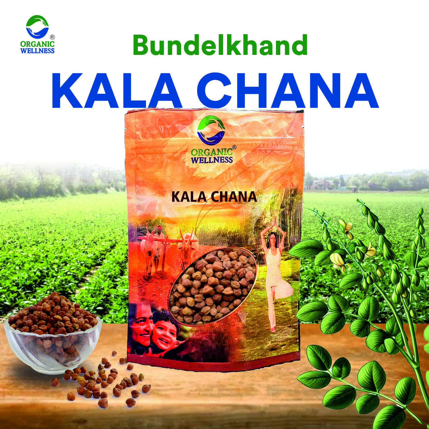 Organic Wellness Kala Chana