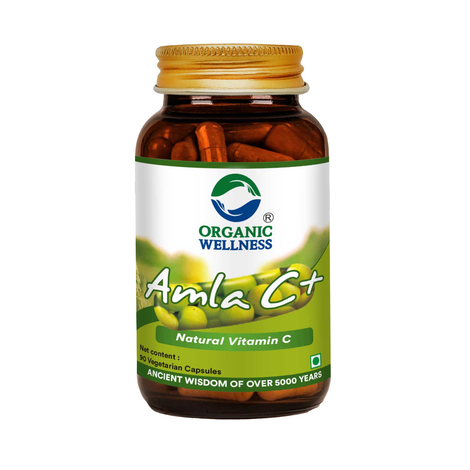 Organic Wellness Amla Capsules - Vitamin C - Antioxidant