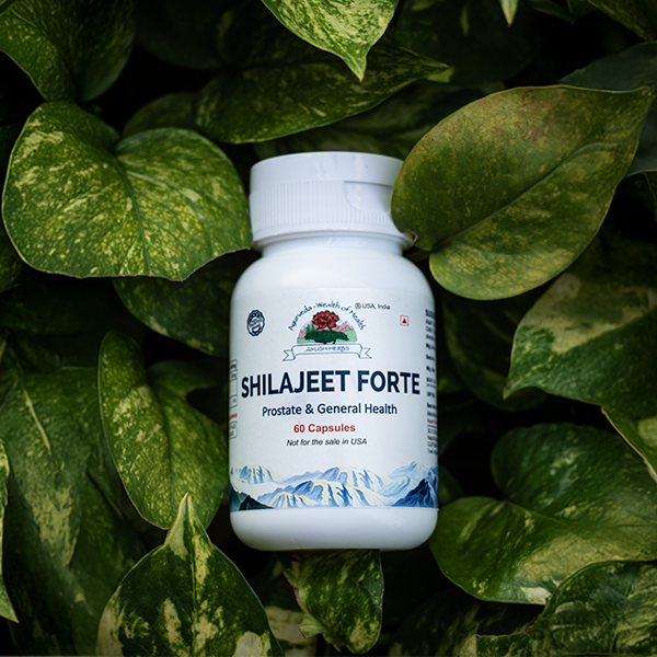 Shilajeet Forte